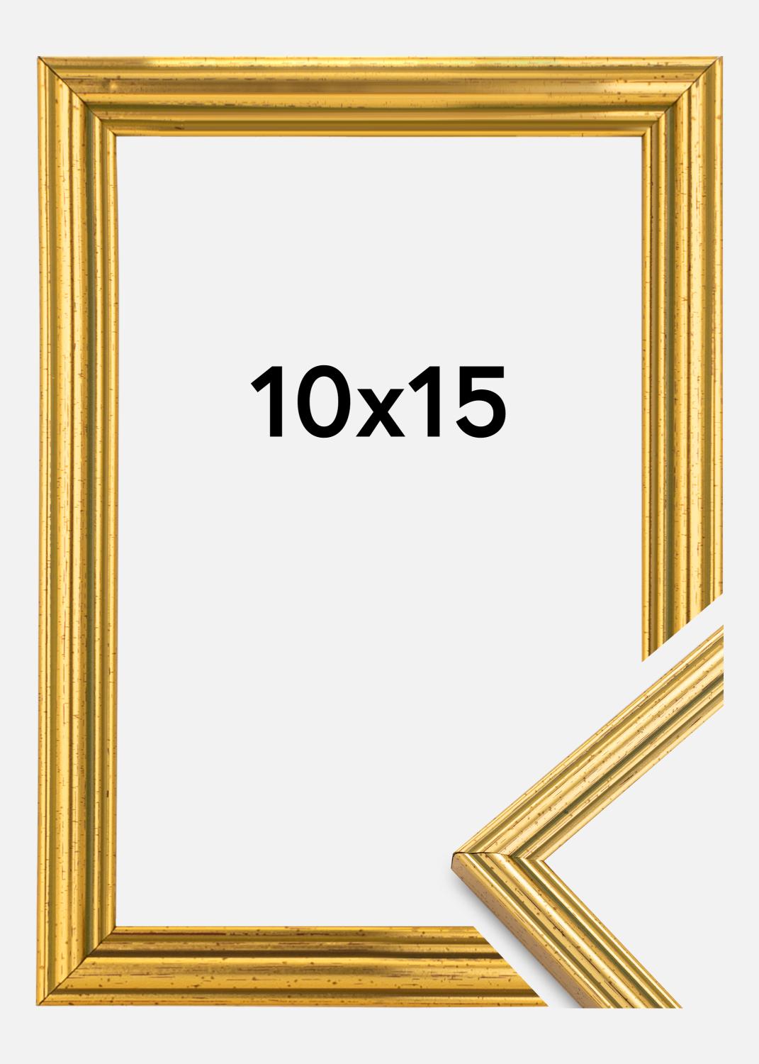 Product Image for Kader Classic Goud 10x15 cm