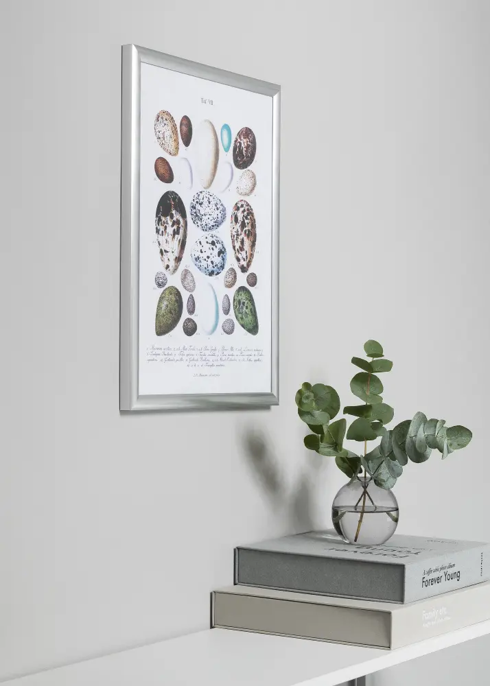 Walther Kader Trendstyle Zilver 40x50 cm