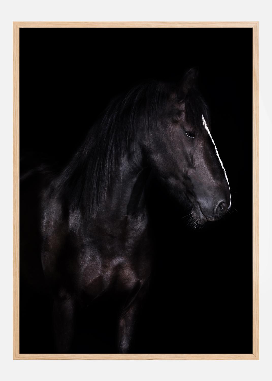 Product Image for Erika Poster (21x29.7 cm (A4))