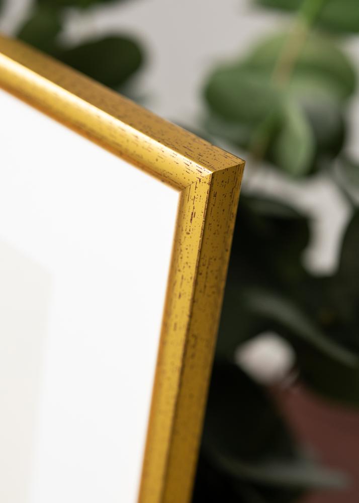 Estancia Kader Newline Goud 30x40 cm