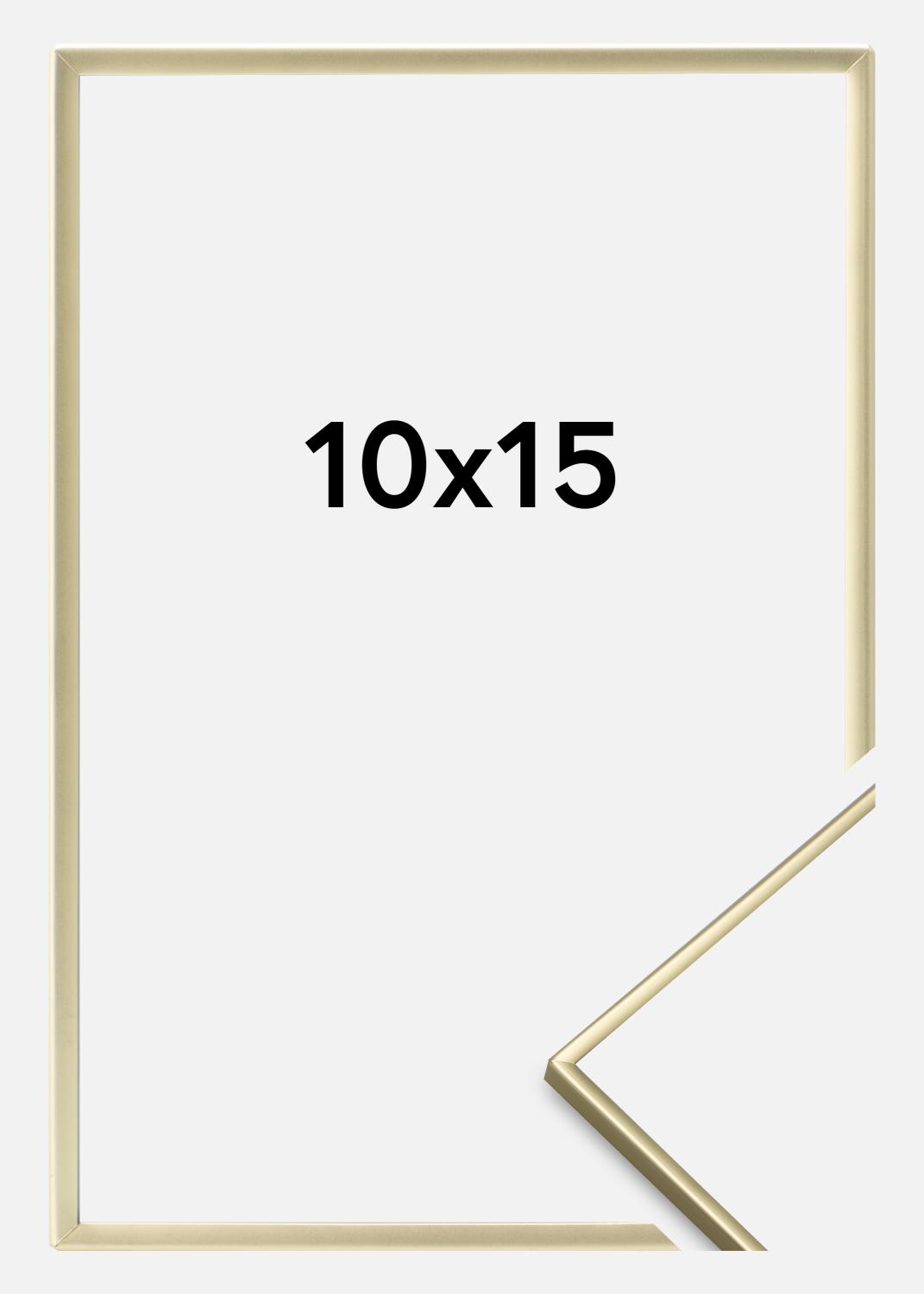 Product Image for Kader Glad Metaal Goud 10x15 cm