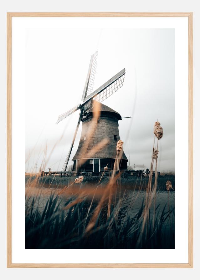 Bildverkstad Dutch Windmill Poster