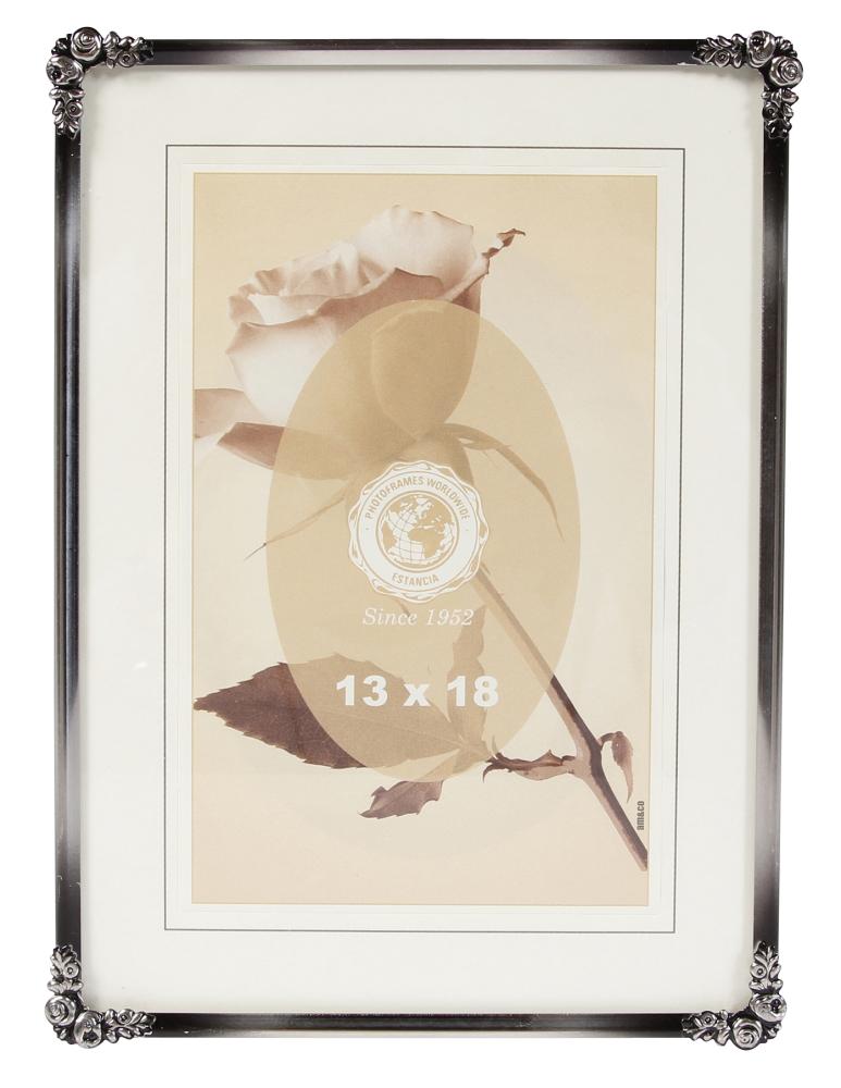 Eiri Kehykset Kader Rosen Metaal Zilver 20x25 cm