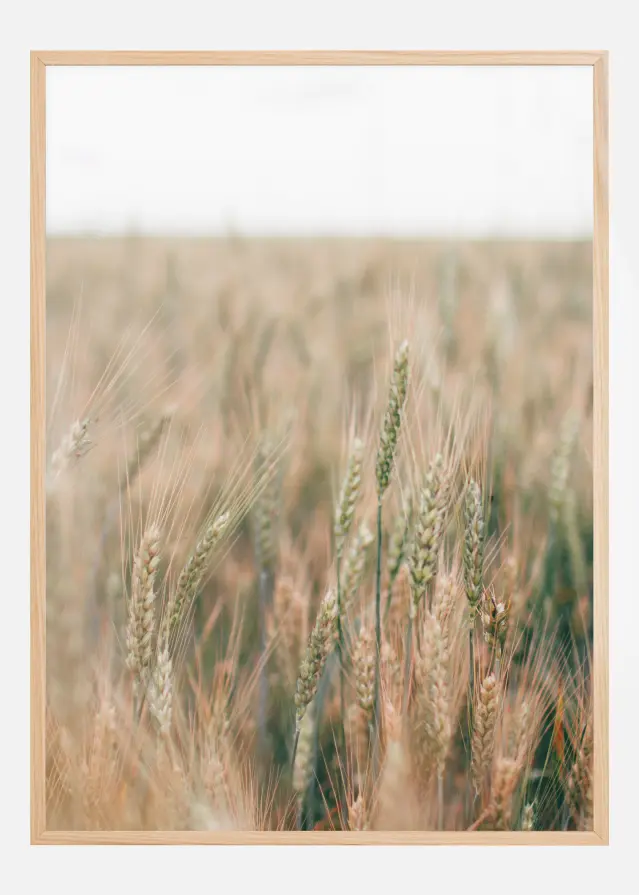 Bildverkstad Summer Fields Poster