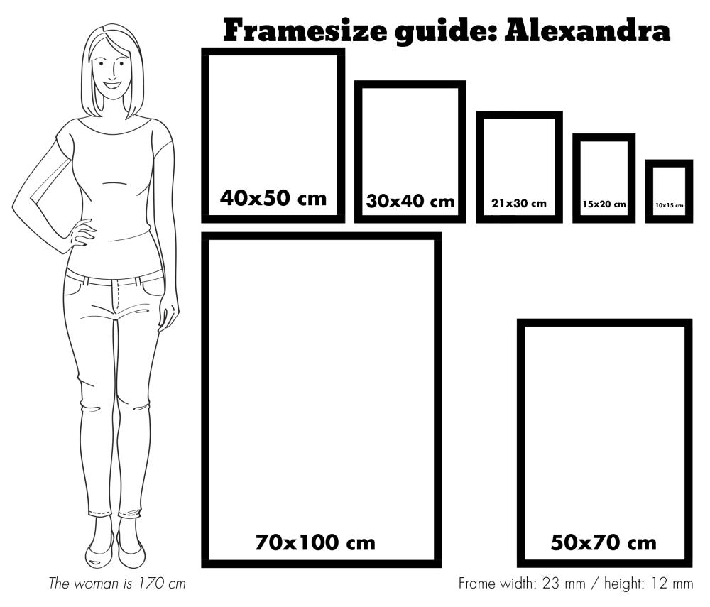 Estancia Kader Alexandra Acrylglas Zwart 61x91,5 cm