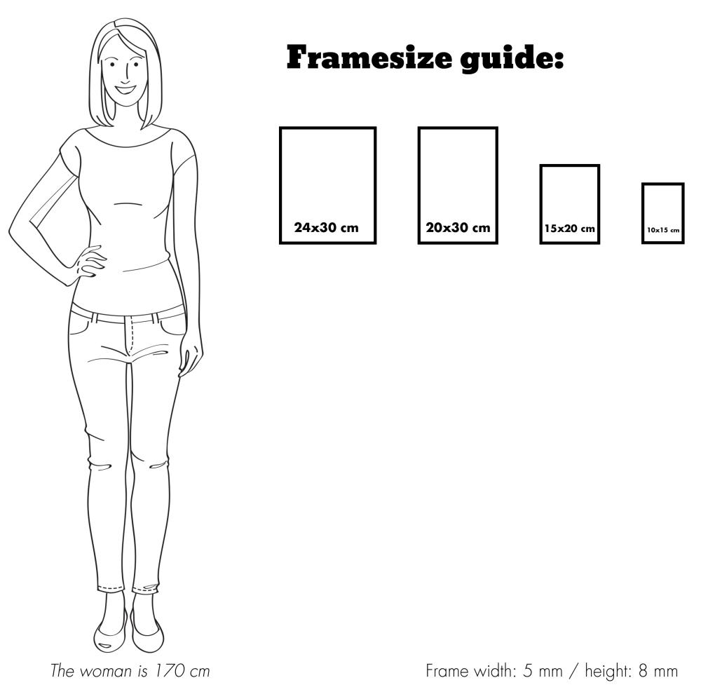 Eiri Kehykset Kader Rosen Metaal Zilver 10x13 cm