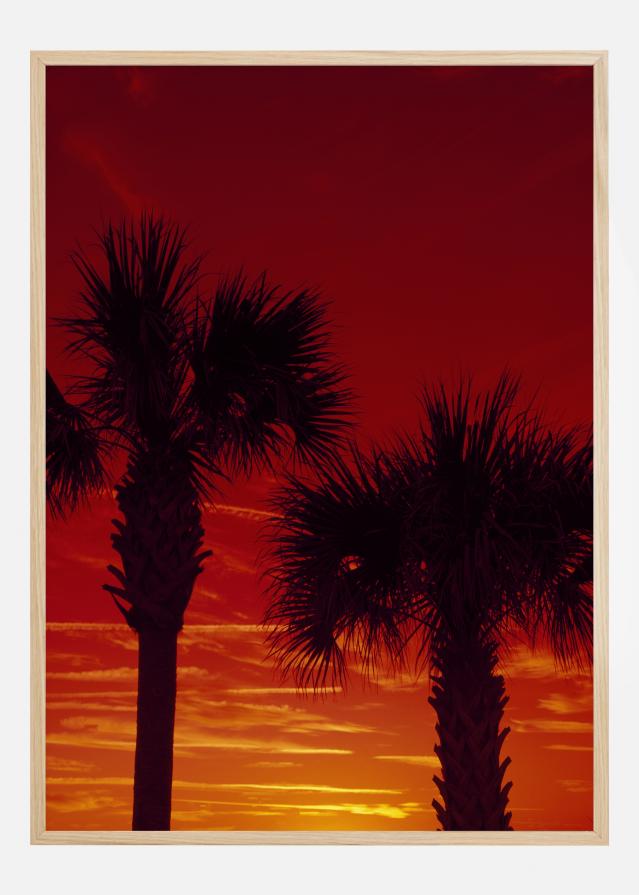 Bildverkstad Red Palms Poster