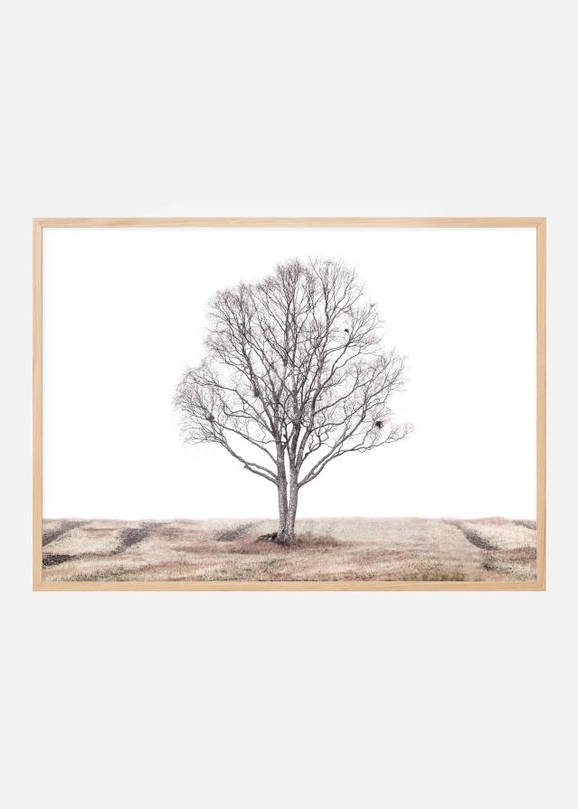 Bildverkstad The lonely tree Poster