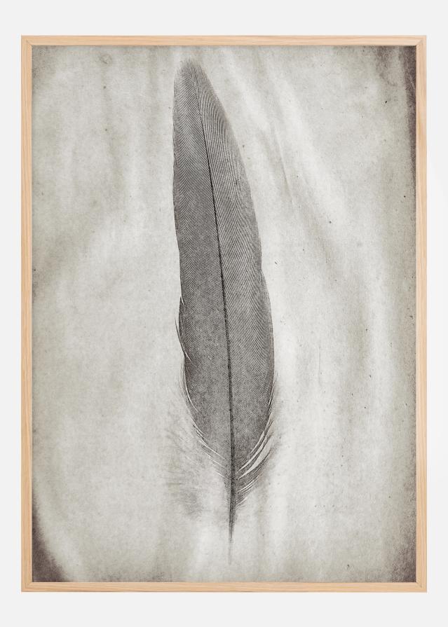 Bildverkstad Aquarelle Feather Poster