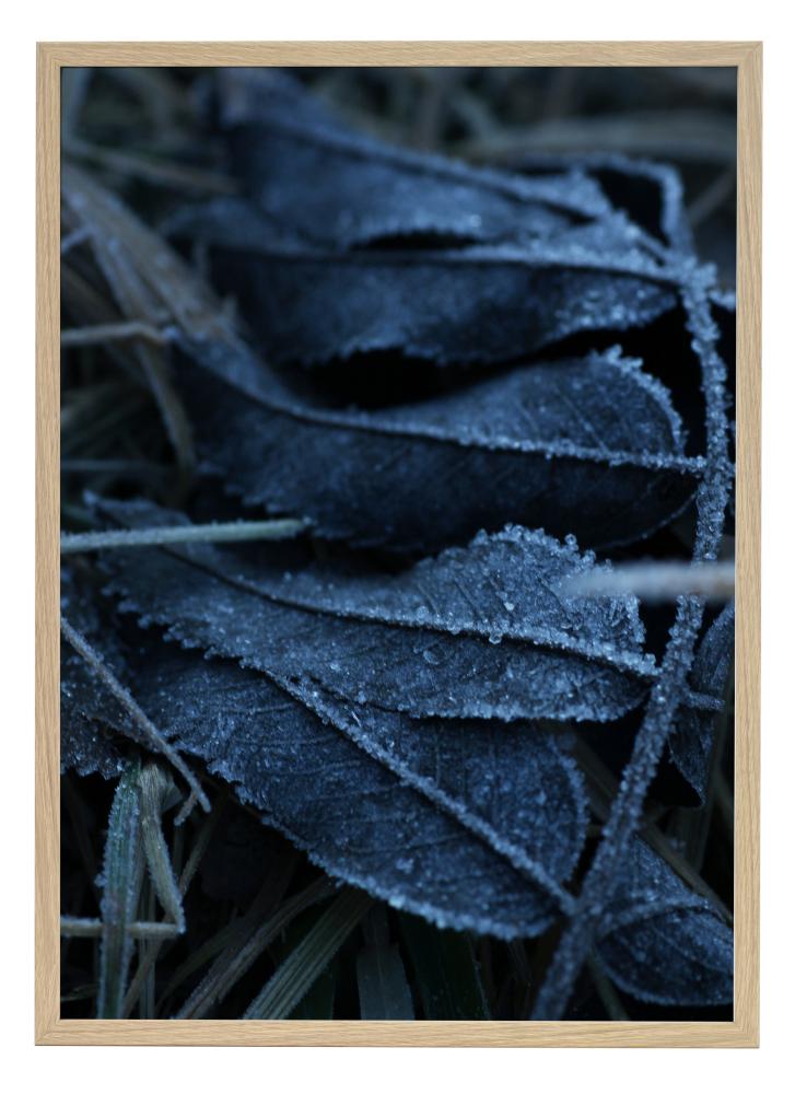 One Must Dash One Must Dash - Frost - 30x40 cm Poster