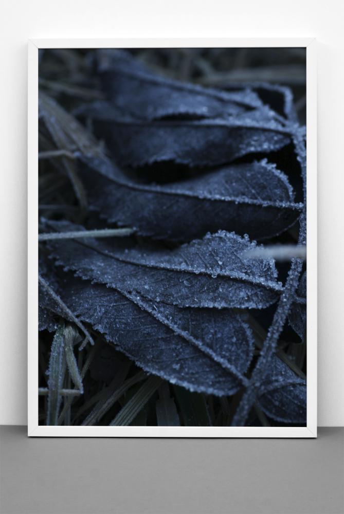 One Must Dash One Must Dash - Frost - 30x40 cm Poster