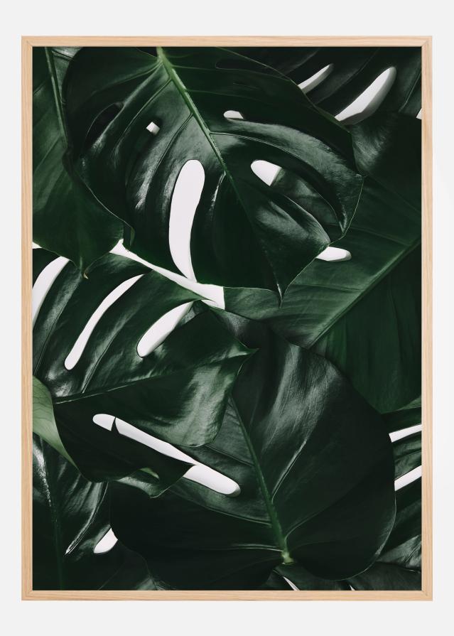 Bildverkstad Monstera Plant I Poster