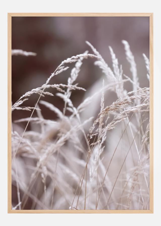 Bildverkstad Straws in a field Poster