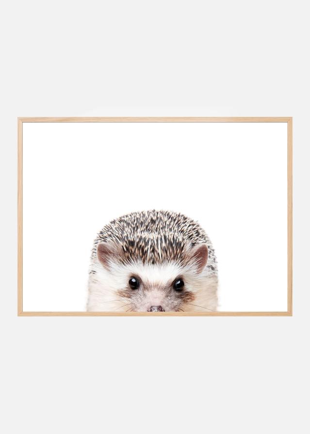 Bildverkstad Peeking Hedgehog Poster