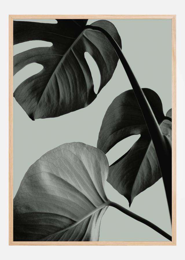 Bildverkstad Monstera Teal I Poster