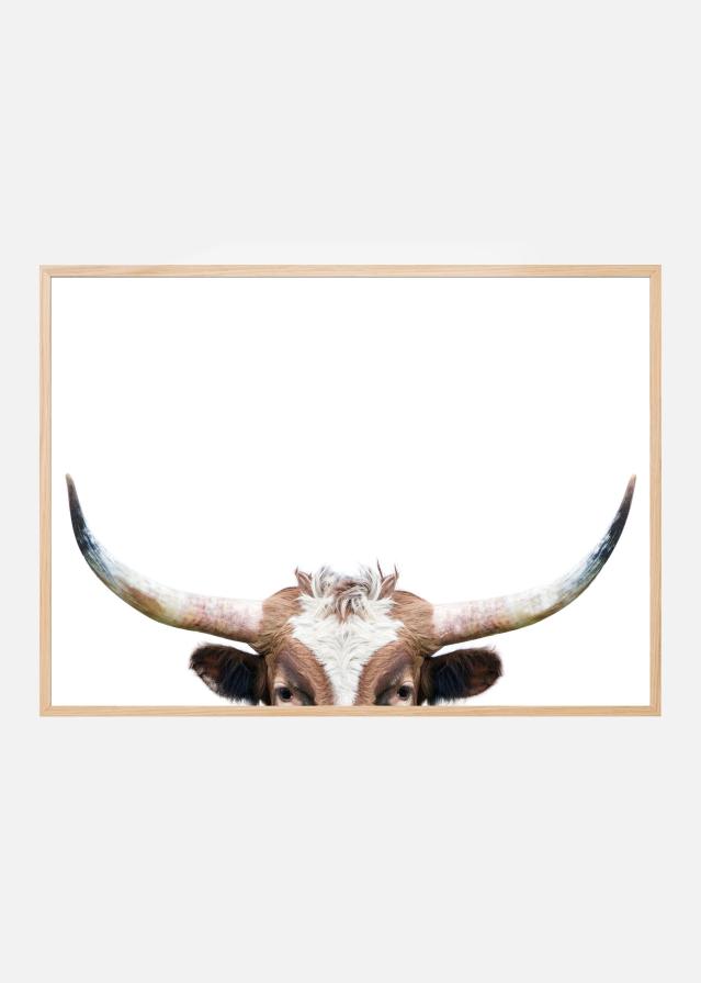 Bildverkstad Peeking Longhorn Cow Poster