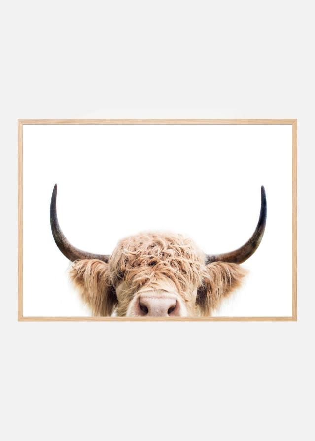 Bildverkstad Peeking Cow Poster