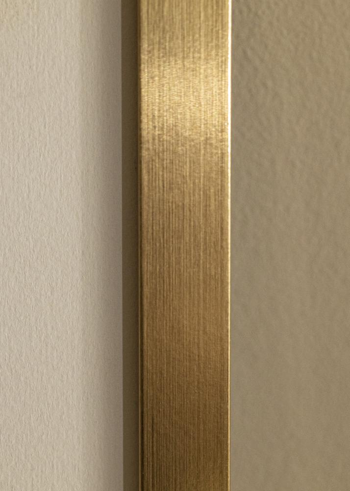 Ram med passepartou Kader Selection Goud 60x90 cm - Passe-partout Wit 50x75 cm