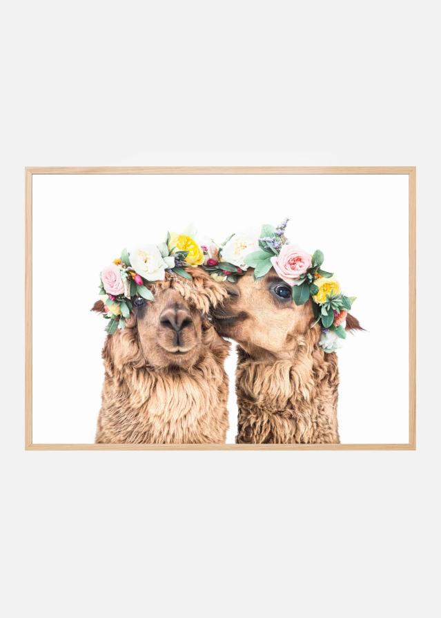 Bildverkstad Boho Alpacas Poster