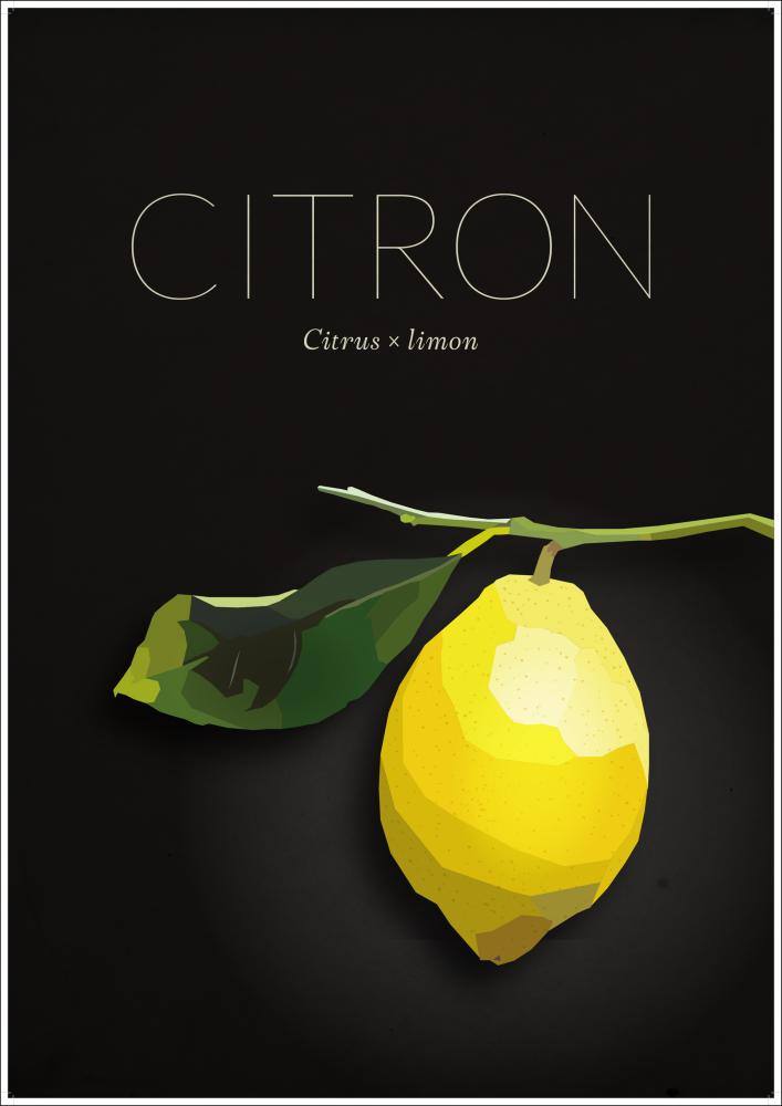 Bildverkstad Citroen Poster