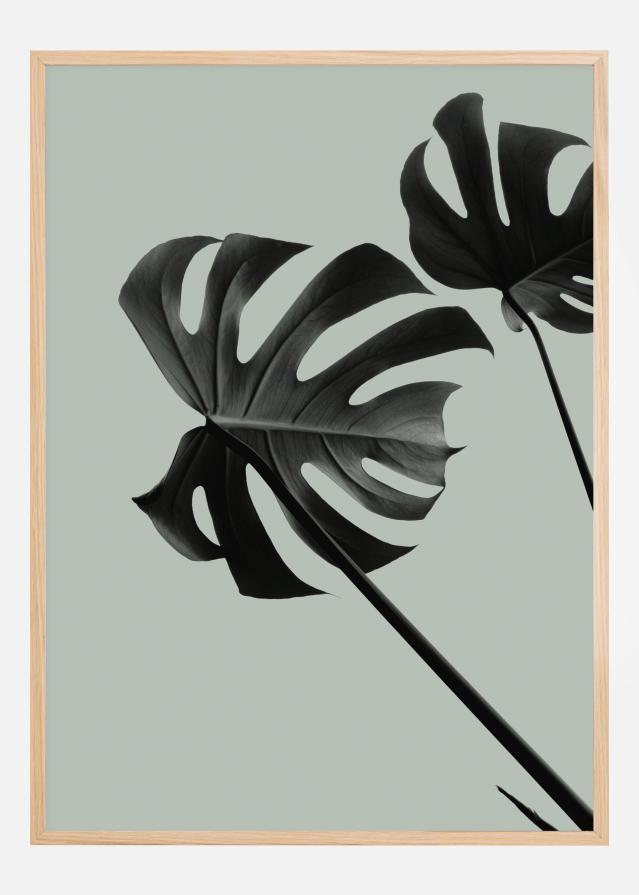 Bildverkstad Monstera Teal II Poster