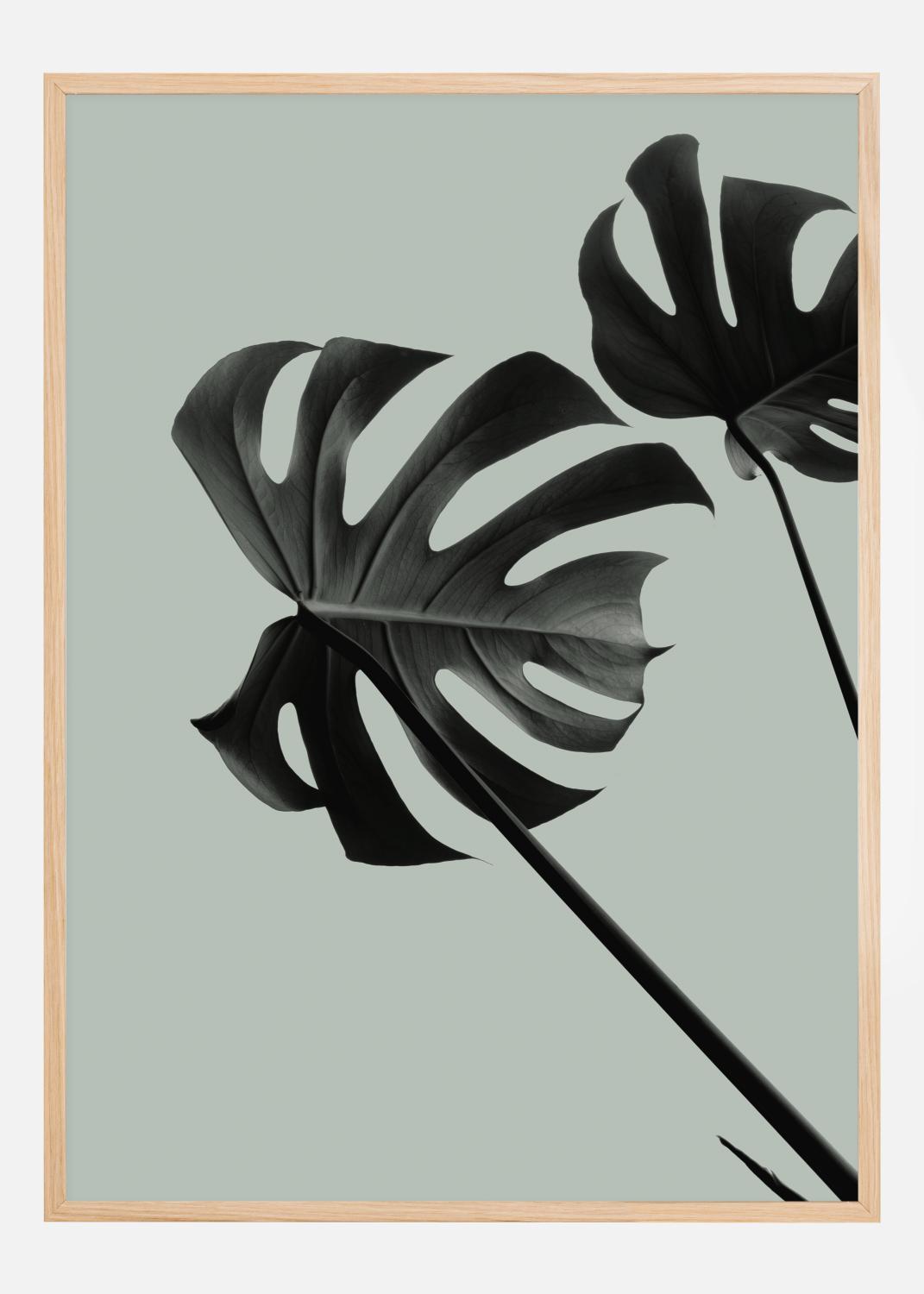 Product Image for Monstera Teal II Poster (21x29.7 cm (A4))