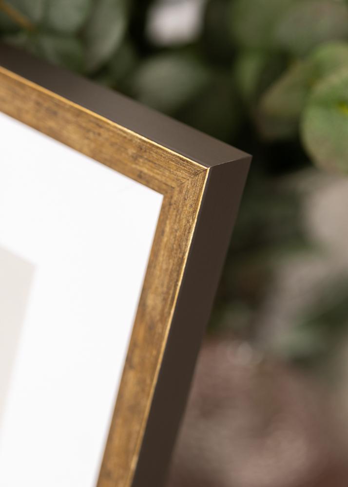 Jämtlands Ramfabrik Kader Dune Acrylglas Goud 21x29,7 cm (A4)