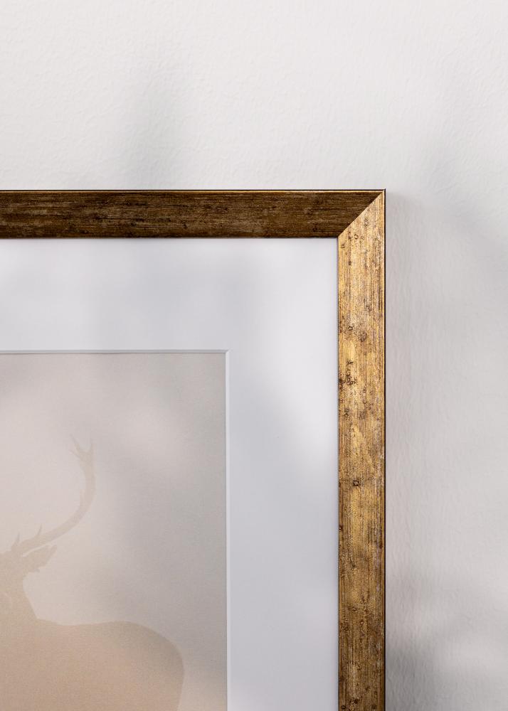 Jämtlands Ramfabrik Kader Dune Acrylglas Goud 21x29,7 cm (A4)