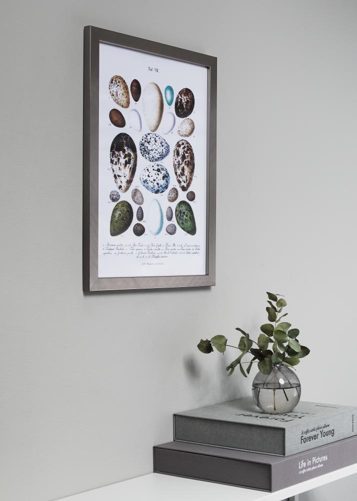 Galleri 1 Kader Uppsala Zilver 28x35 cm