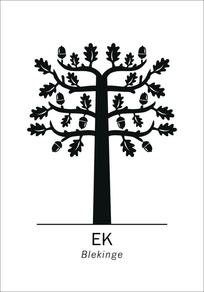 Bildverkstad Ek - Blekinge Poster