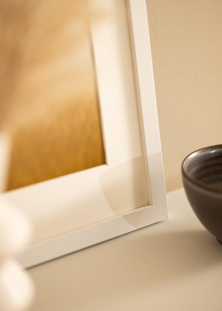 BGA Kader Deco Acrylglas Wit 60x80 cm