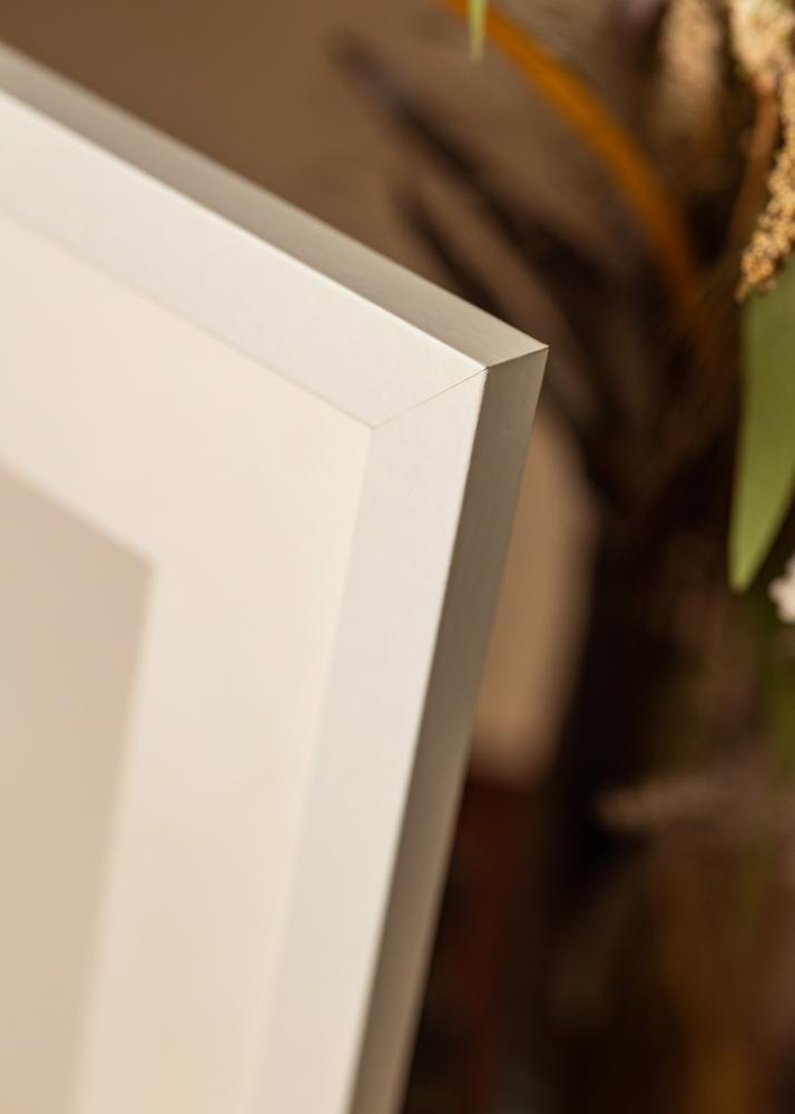 BGA Kader Deco Acrylglas Wit 60x80 cm