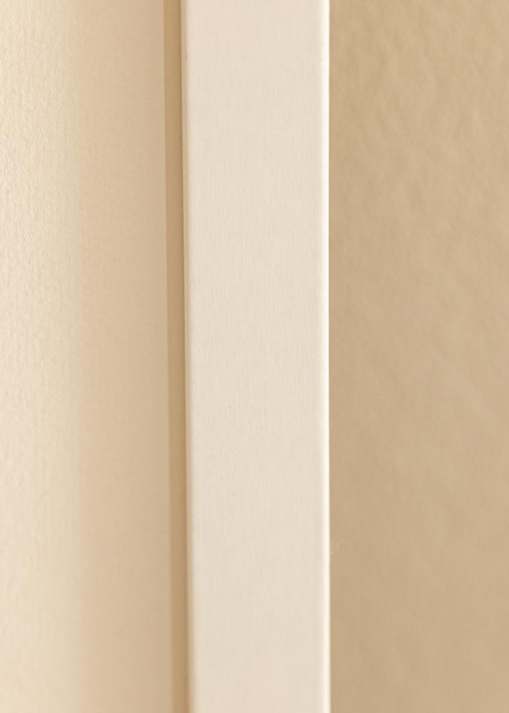 BGA Kader Deco Acrylglas Wit 60x80 cm