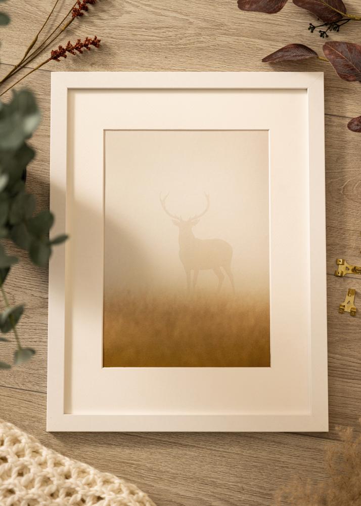 BGA Kader Deco Acrylglas Wit 60x80 cm