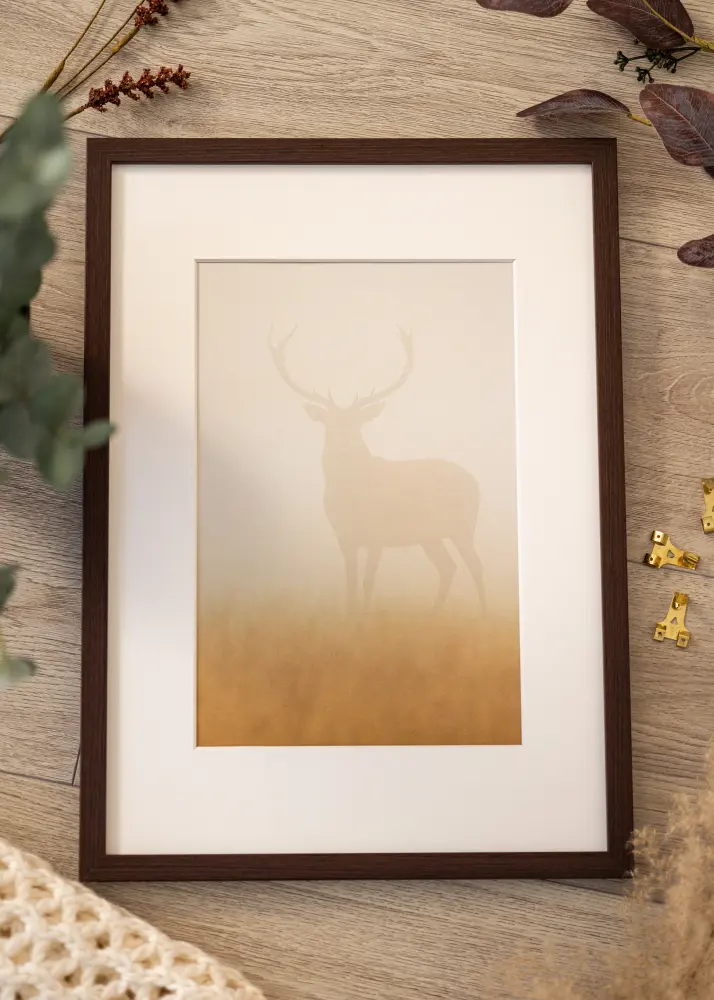 BGA Kader Modern Acrylglas Walnoot 50x70 cm