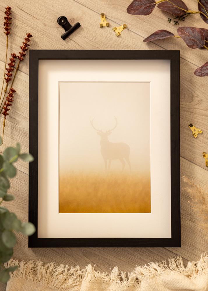 BGA BGA Framebox Acrylglas Zwart 50x100 cm