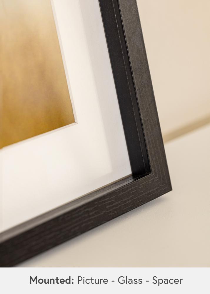 BGA BGA Framebox Acrylglas Zwart 50x100 cm