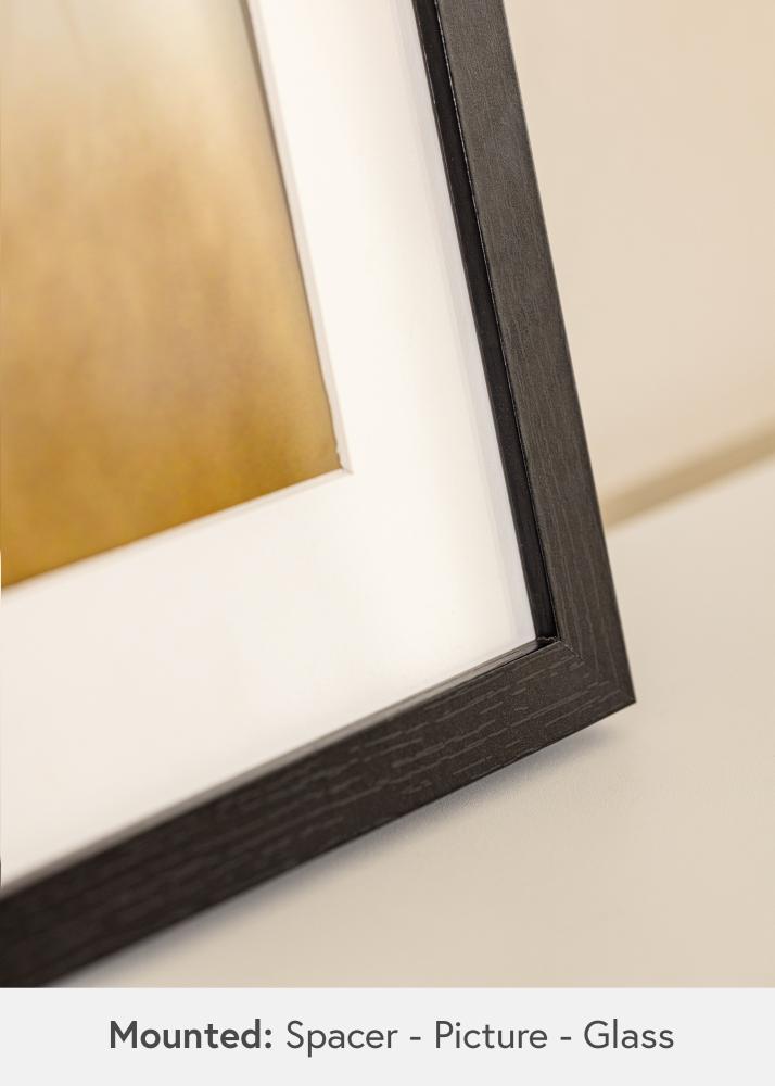 BGA BGA Framebox Acrylglas Zwart 50x100 cm