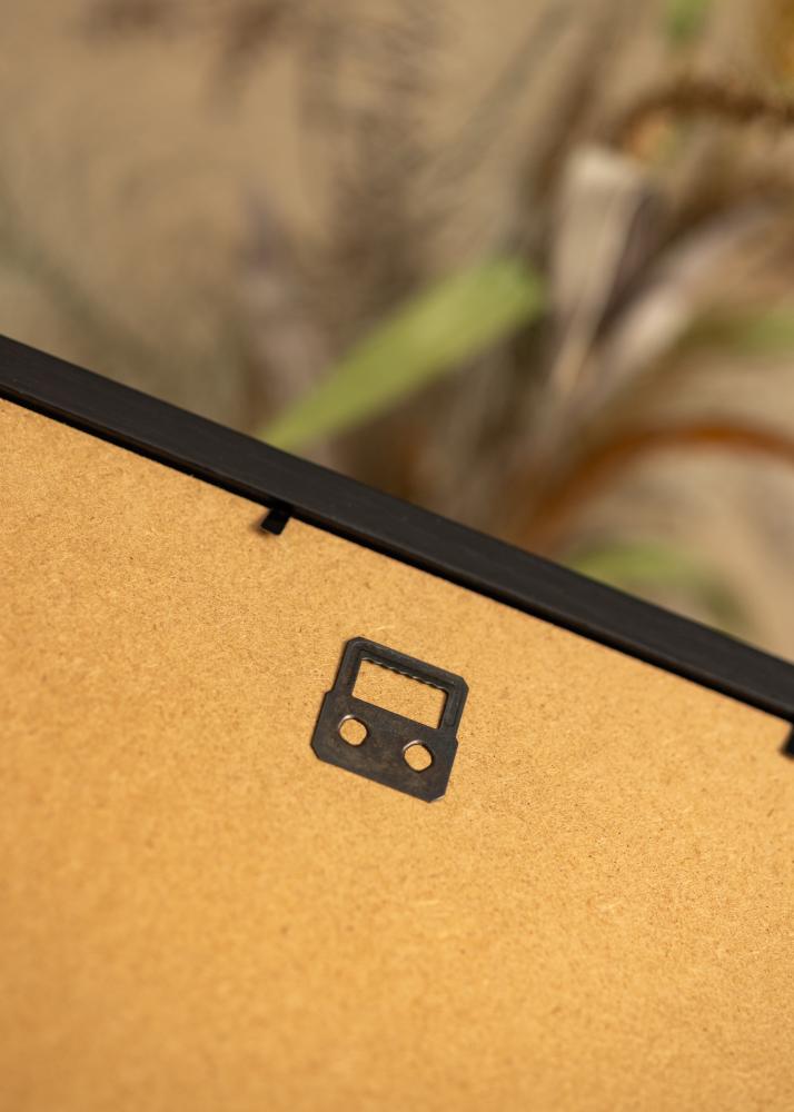 BGA BGA Framebox Acrylglas Zwart 50x100 cm