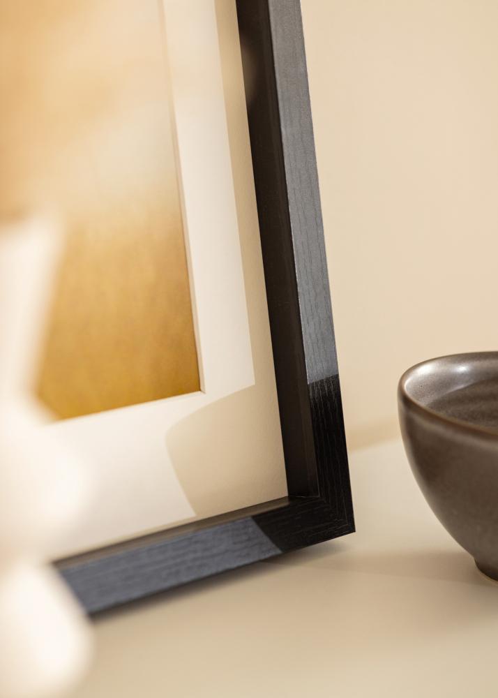 BGA BGA Framebox Acrylglas Zwart 50x100 cm