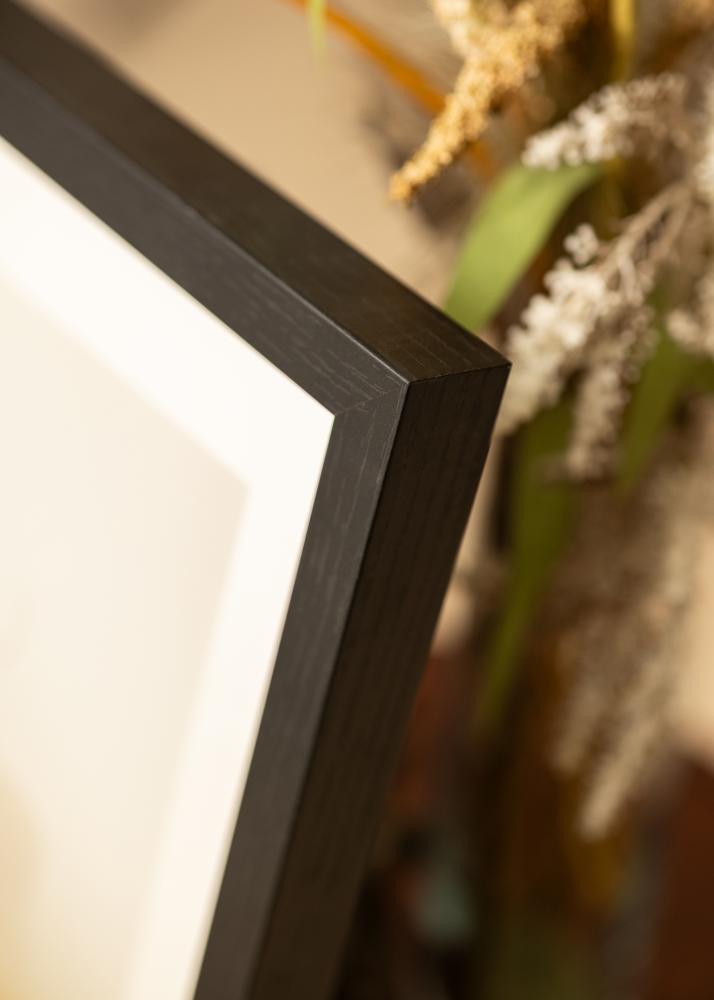 BGA BGA Framebox Acrylglas Zwart 50x100 cm