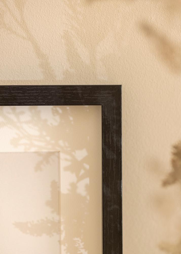 BGA BGA Framebox Acrylglas Zwart 50x100 cm