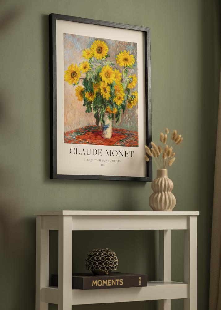 BGA BGA Framebox Acrylglas Zwart 50x100 cm