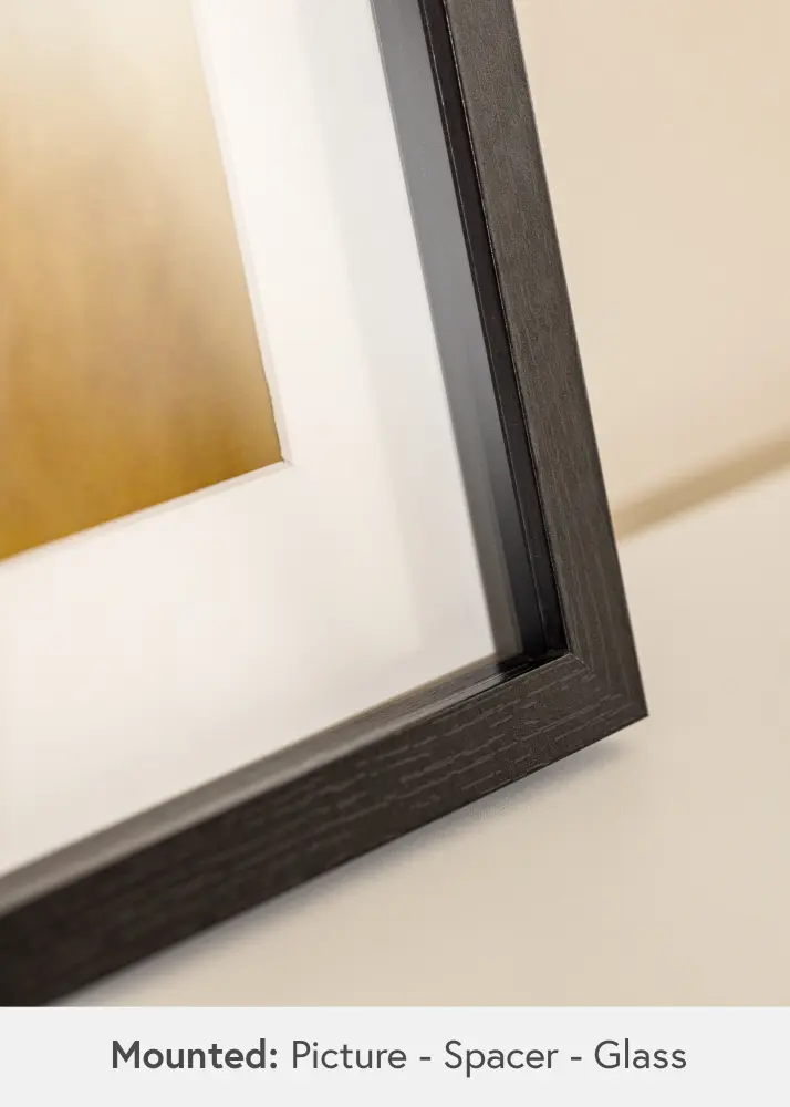 BGA BGA Framebox Acrylglas Zwart 50x100 cm
