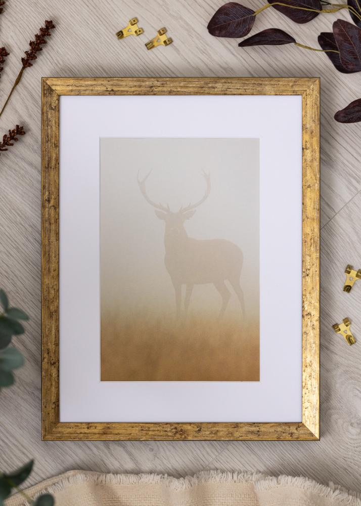 Jämtlands Ramfabrik Kader Dune Acrylglas Goud 21x29,7 cm (A4)