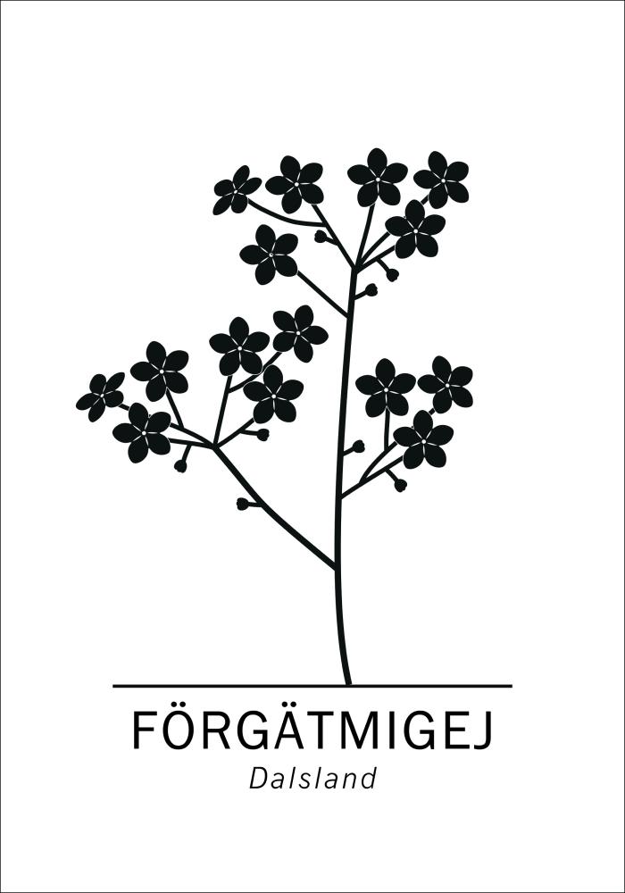Bildverkstad Förgätmigej - Dalsland Poster