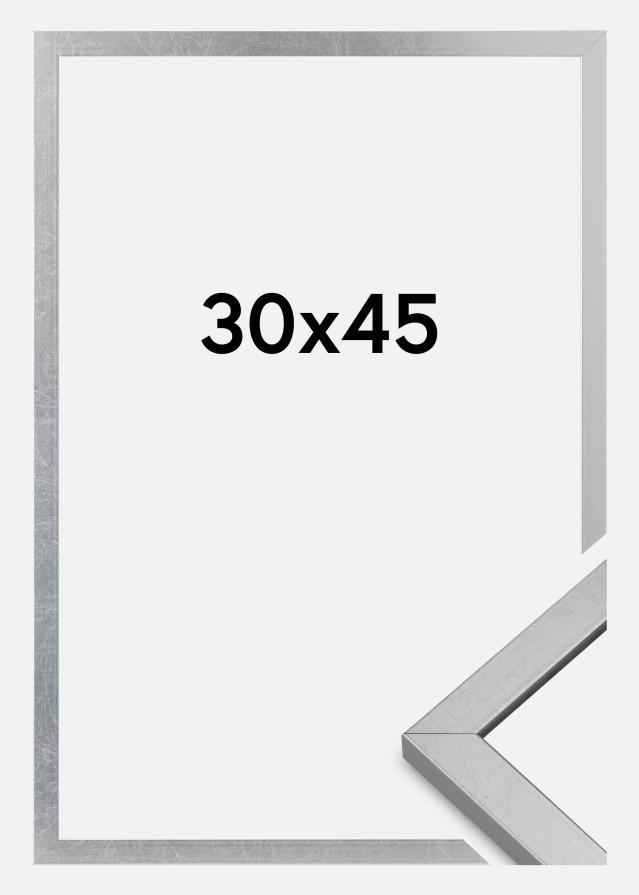 Mavanti Kader Minerva Acrylglas Zilver 30x45 cm