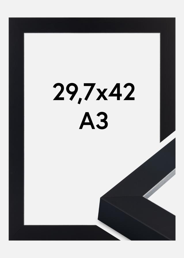 Jämtlands Ramfabrik Kader Sussex Acrylglas Zwart/Zilver 29,7x42 cm (A3)