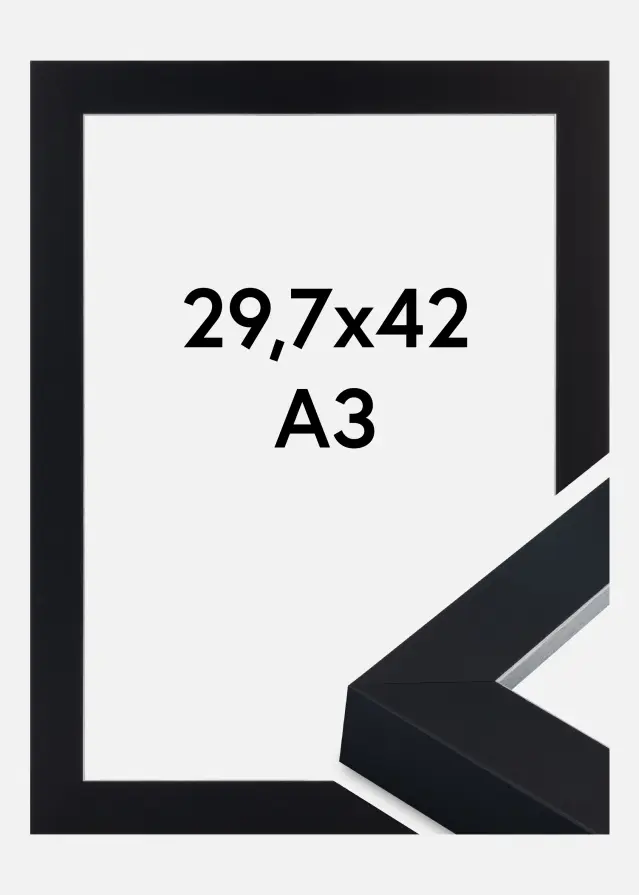 Jämtlands Ramfabrik Kader Sussex Acrylglas Zwart/Zilver 29,7x42 cm (A3)