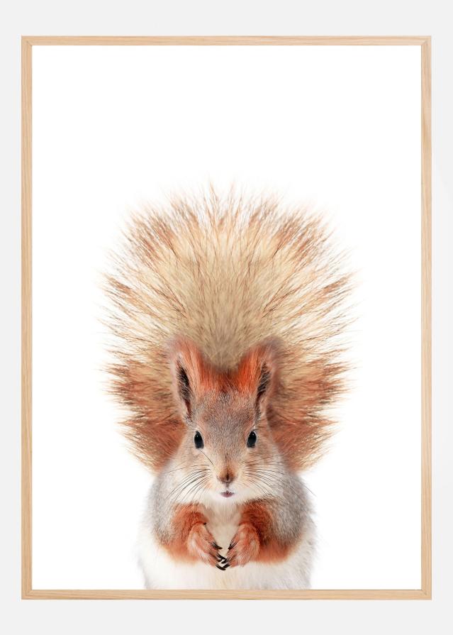 Bildverkstad Baby Squirel Poster